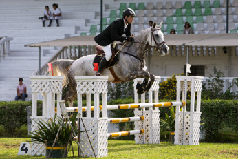 Saltos de obstáculos